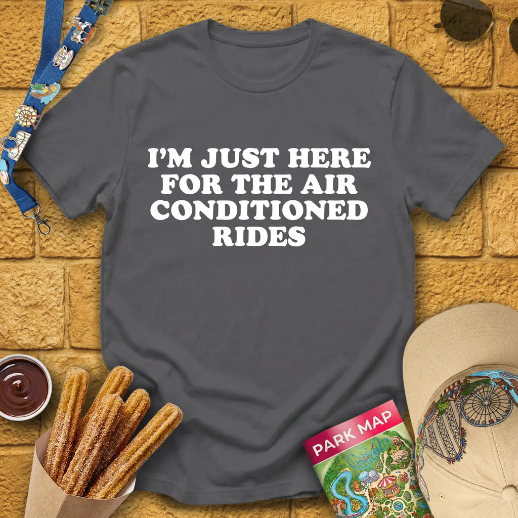 Here For AC Rides [RetroBold] T-Shirt for Theme Park Fans (Charcoal)
